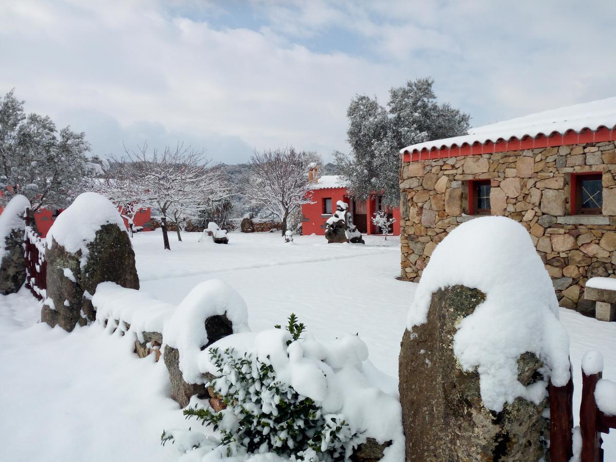 הוילה סנט אנטוניו די גאלורו Turismo Rurale L'Agliuledda מראה חיצוני תמונה